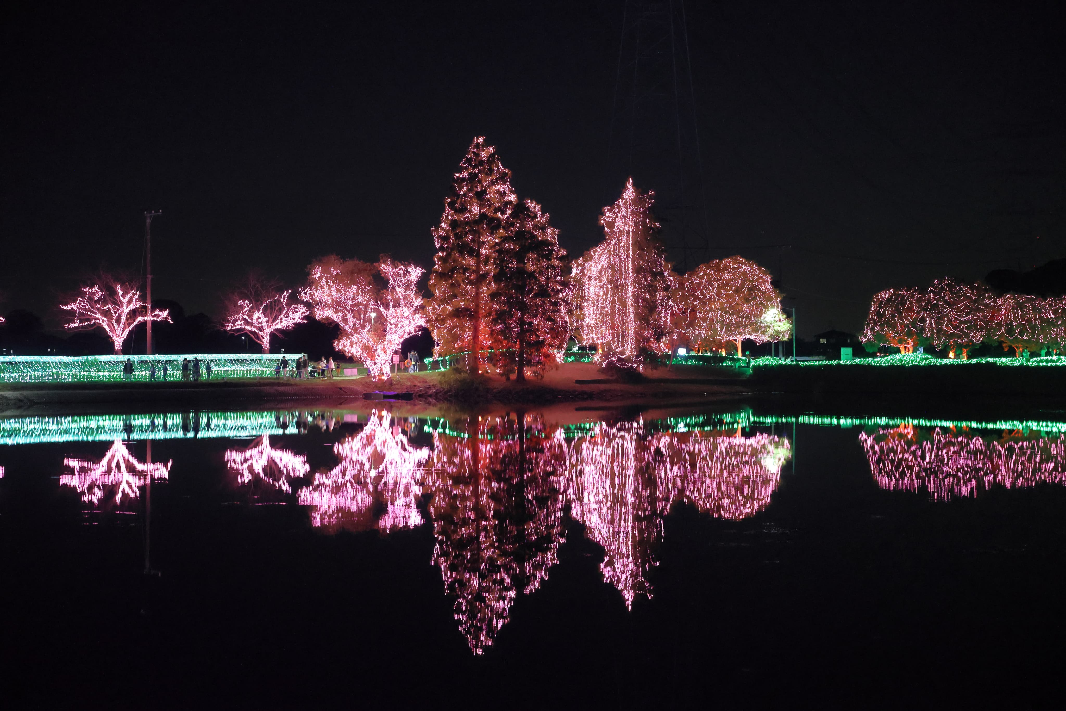 春エリアの画像