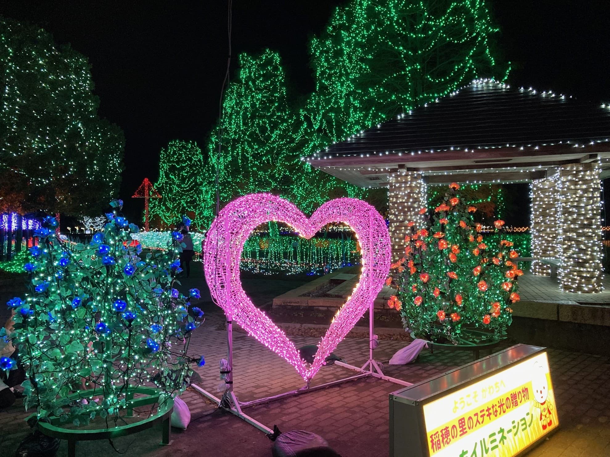 夏エリアの画像